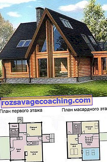 Original projects of log houses