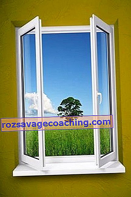 What are the sizes of window openings? 