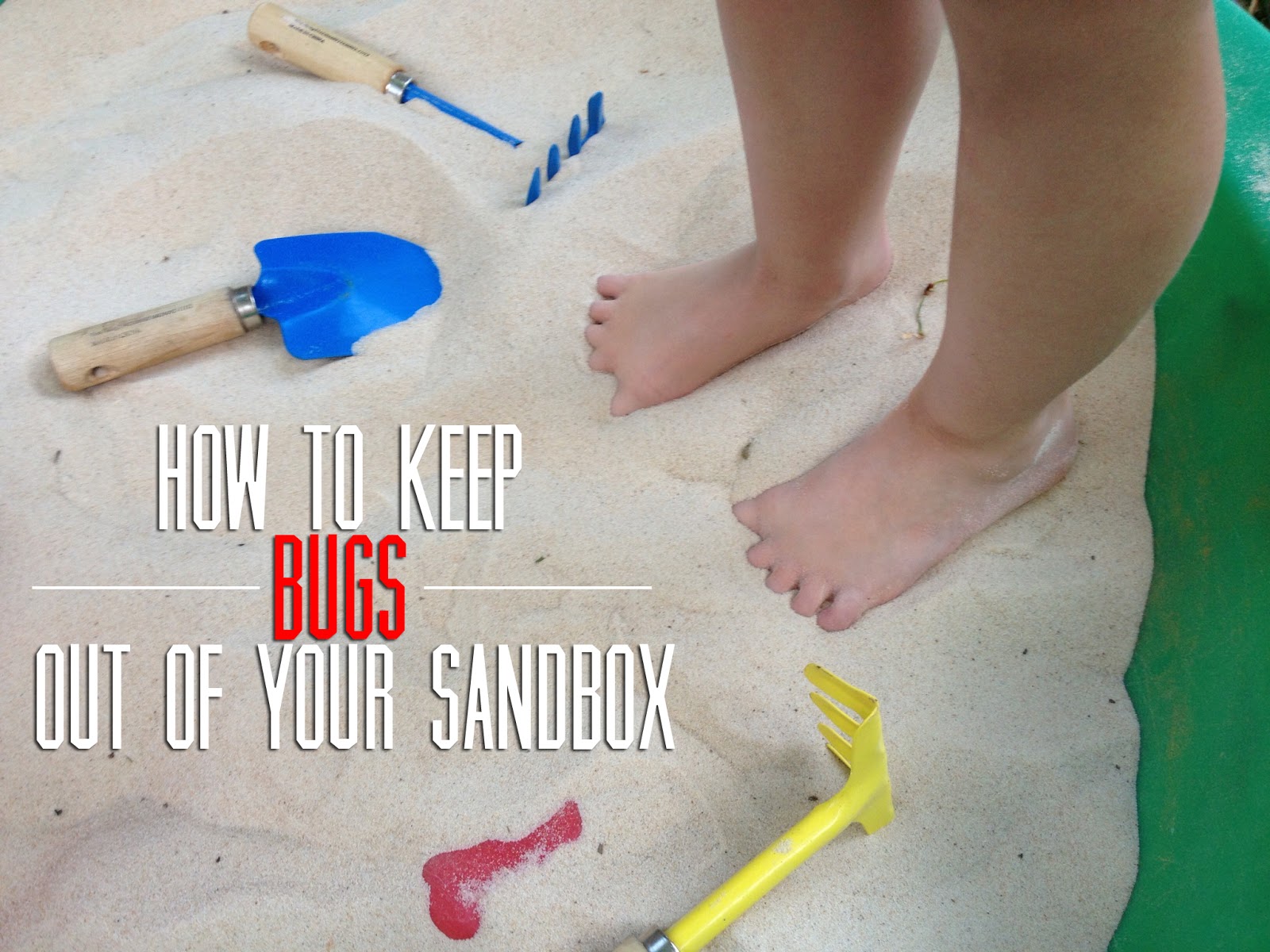 Keep bugging. The Tipping Sand Box.