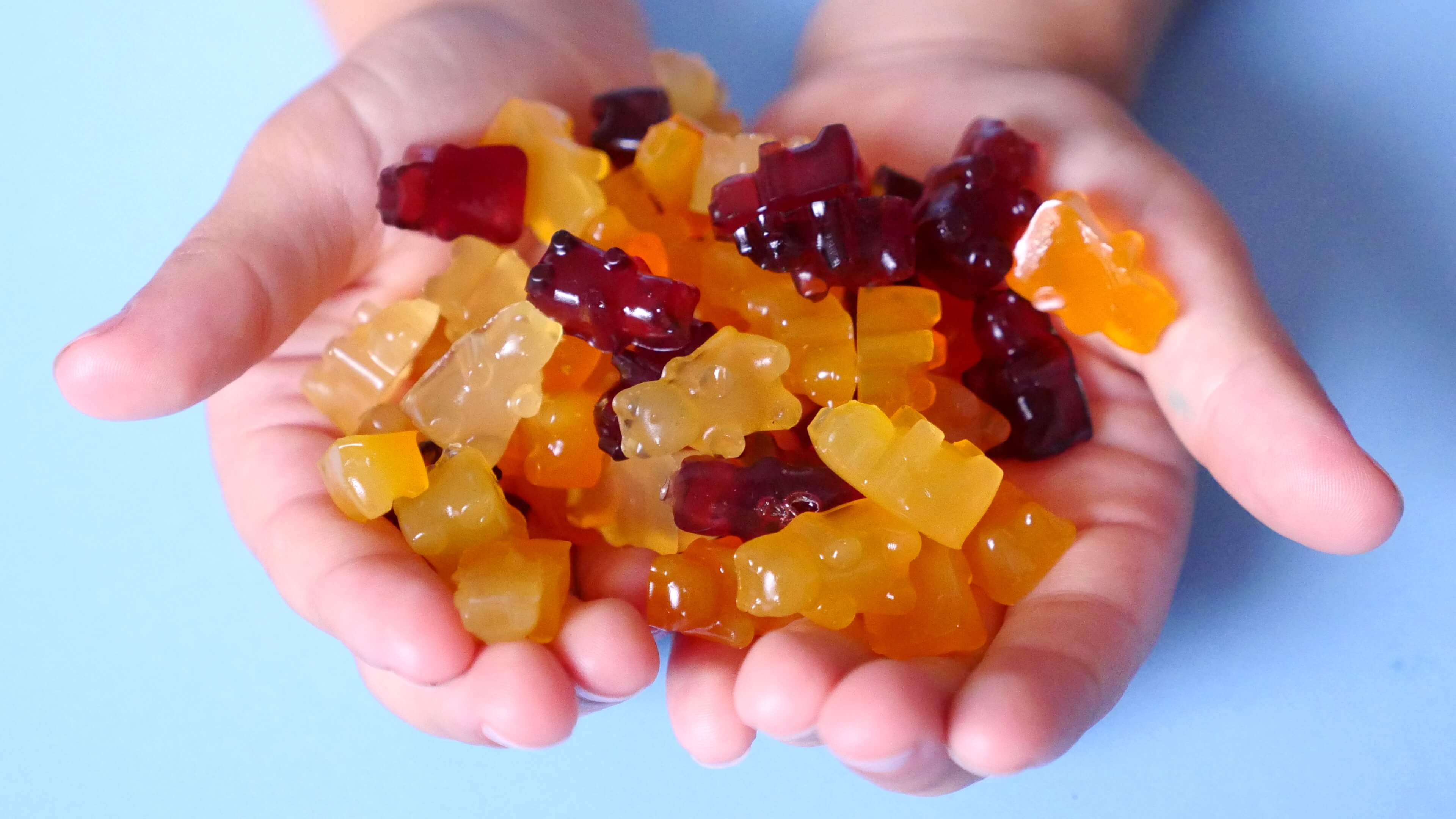 Gummies. Gummibarchen. Gummy стартап. Orange riper Gummy.